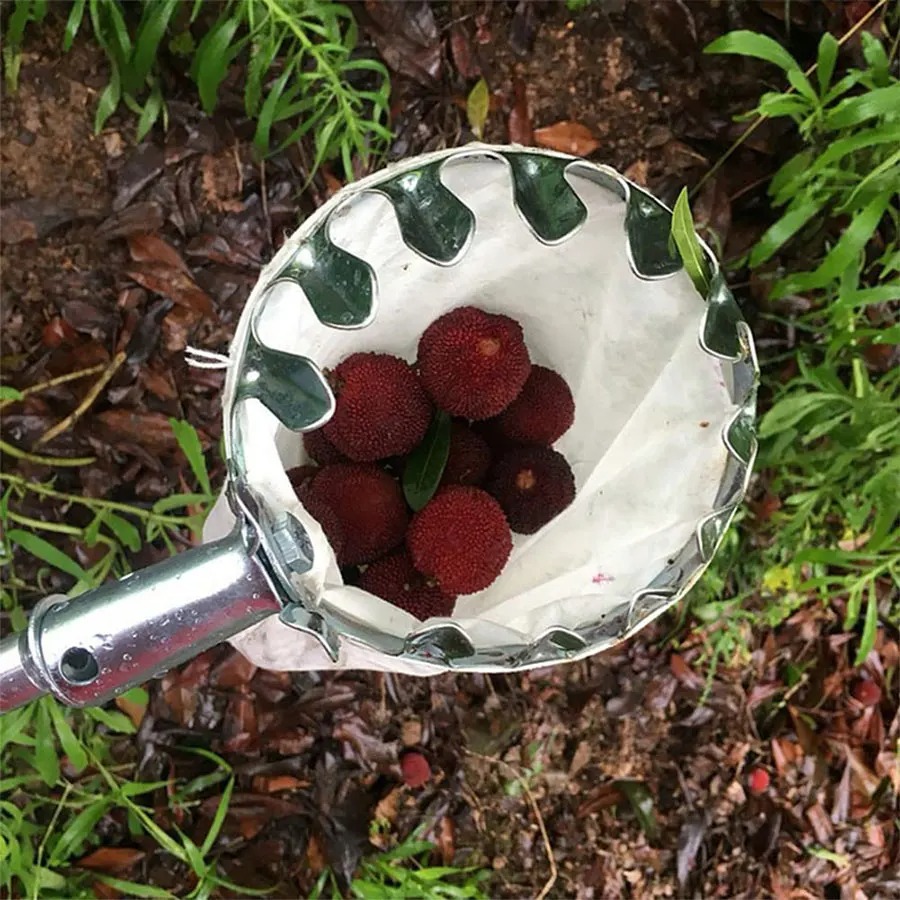 Grow Bags - 3-in-1 Fruit Harvesting Tool Set for