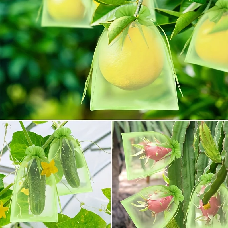 100Pcs Green Protective Bag wi - Grow Bags review and price