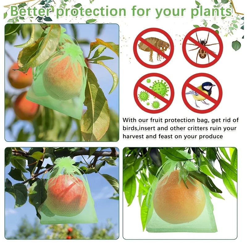 100Pcs Green Protective Bag wi - Grow Bags review and price