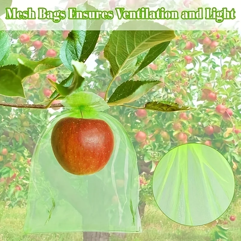 100Pcs Green Protective Bag wi - Grow Bags review and price
