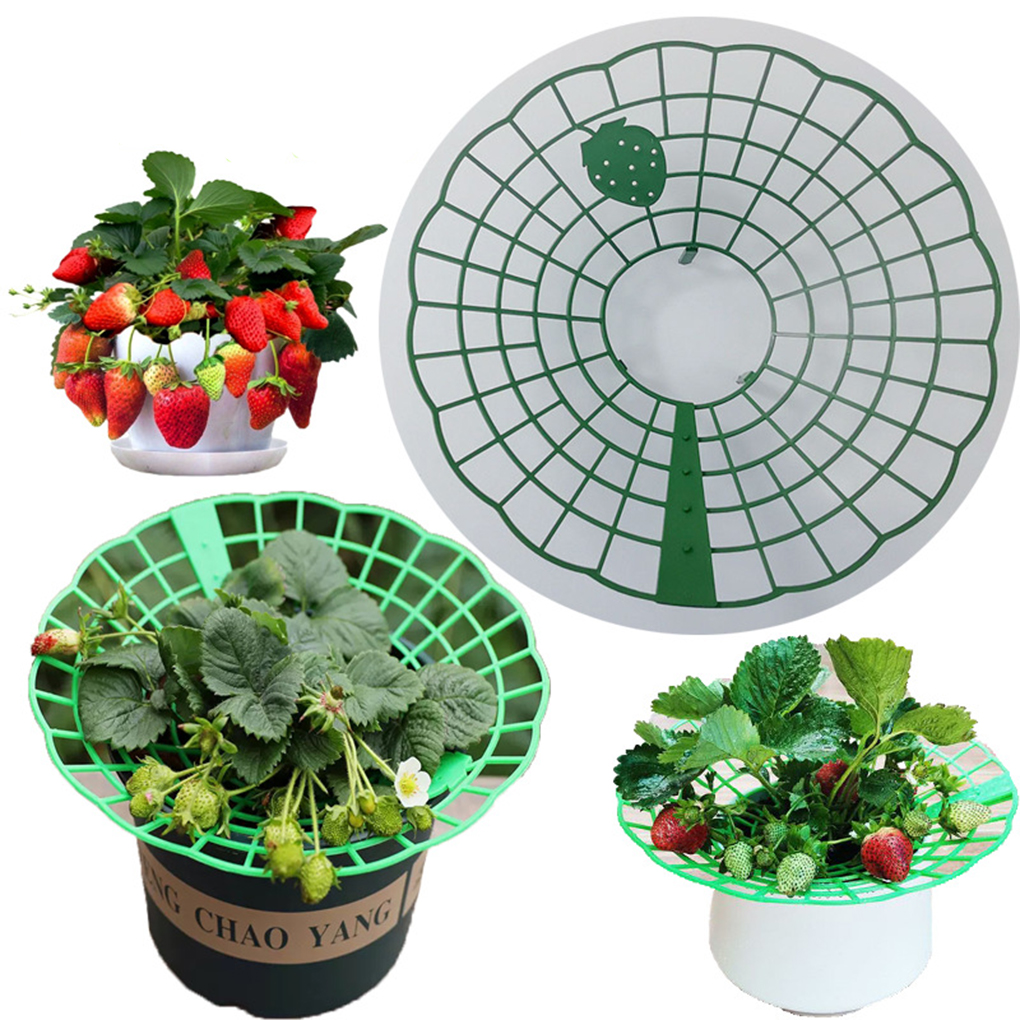 20PCS Strawberry Stand Green C - Gardening Tools Hoe review and price
