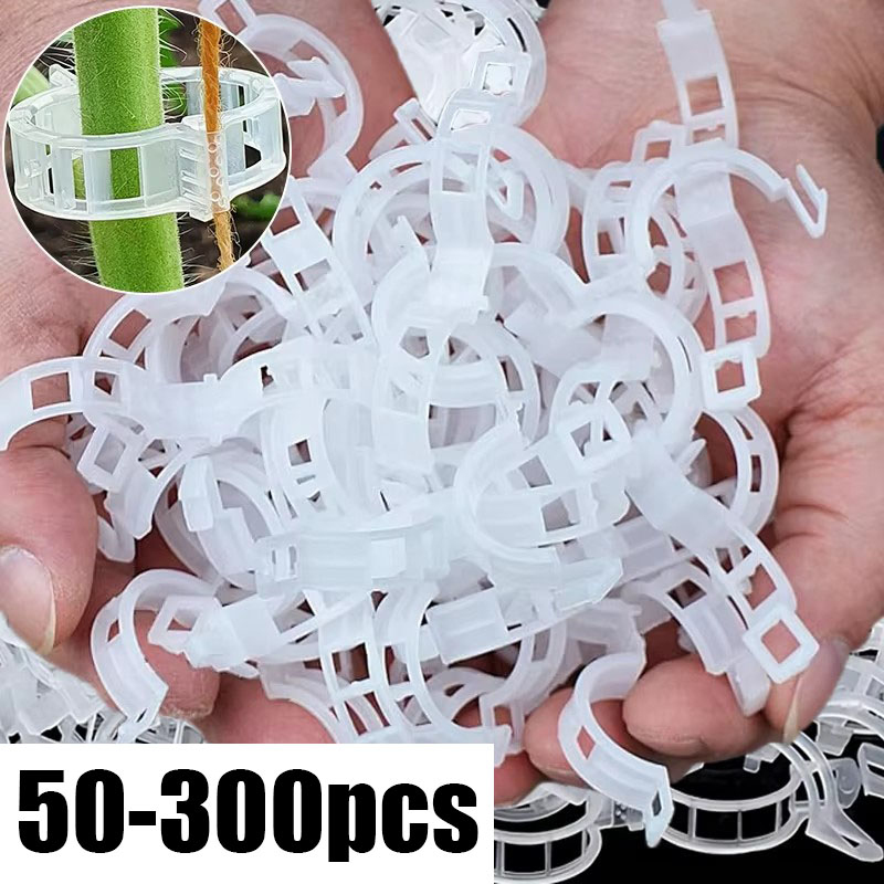 50-300PCS Plant Support Clips  - Gardening Tools Hoe review and price