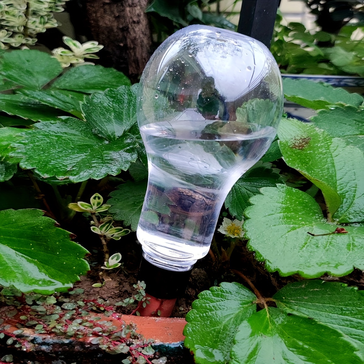 Garden Automatic Watering Tool - Gardening Tools Diy review and price