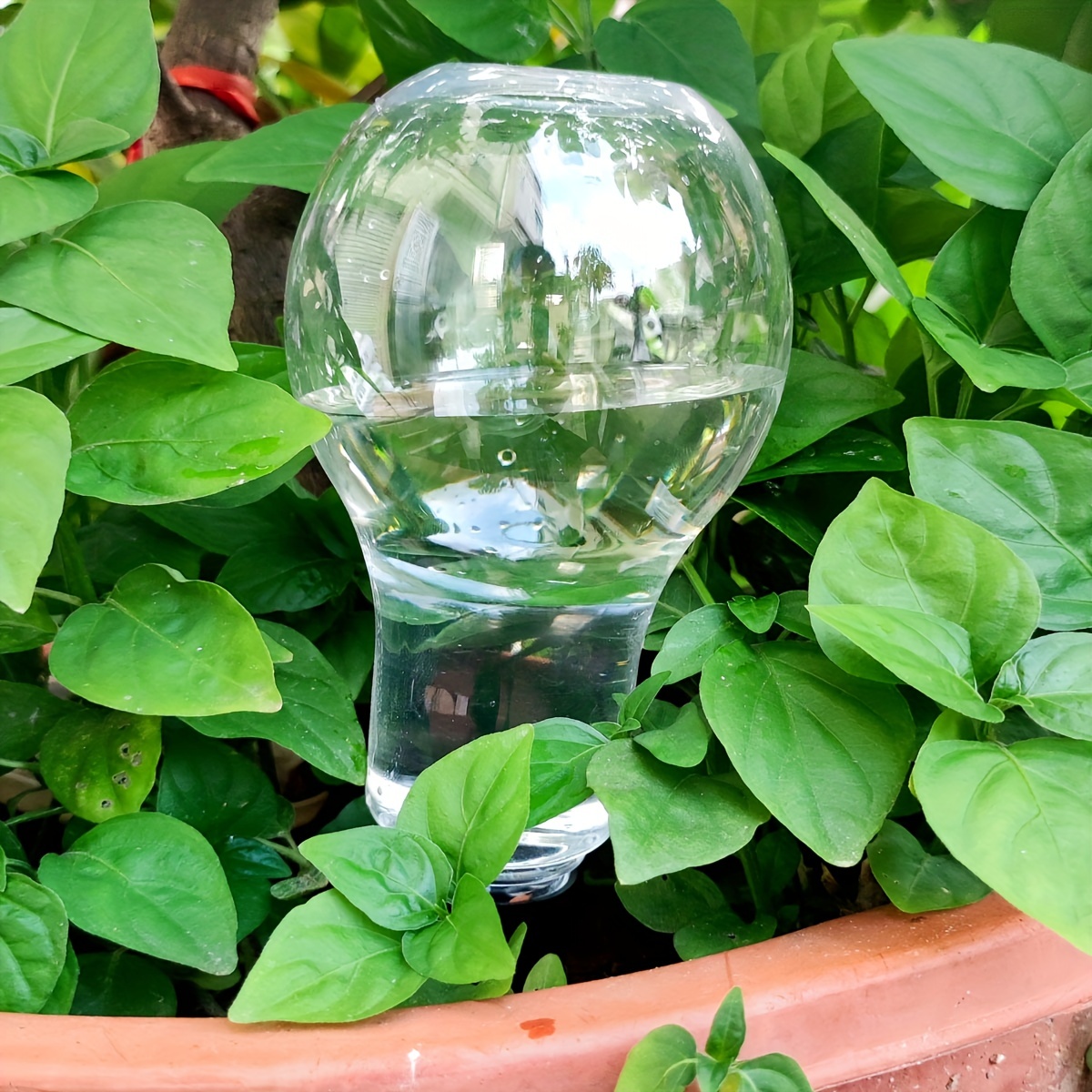 Garden Automatic Watering Tool - Gardening Tools Diy review and price