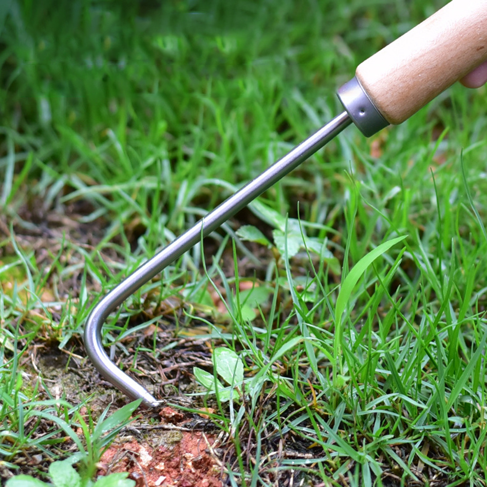 1PC Single Claw Hook Soil Loos - Gardening Tools Gifts review and price