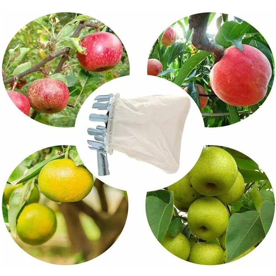 3-in-1 Fruit Harvesting Tool S - Grow Bags review and price