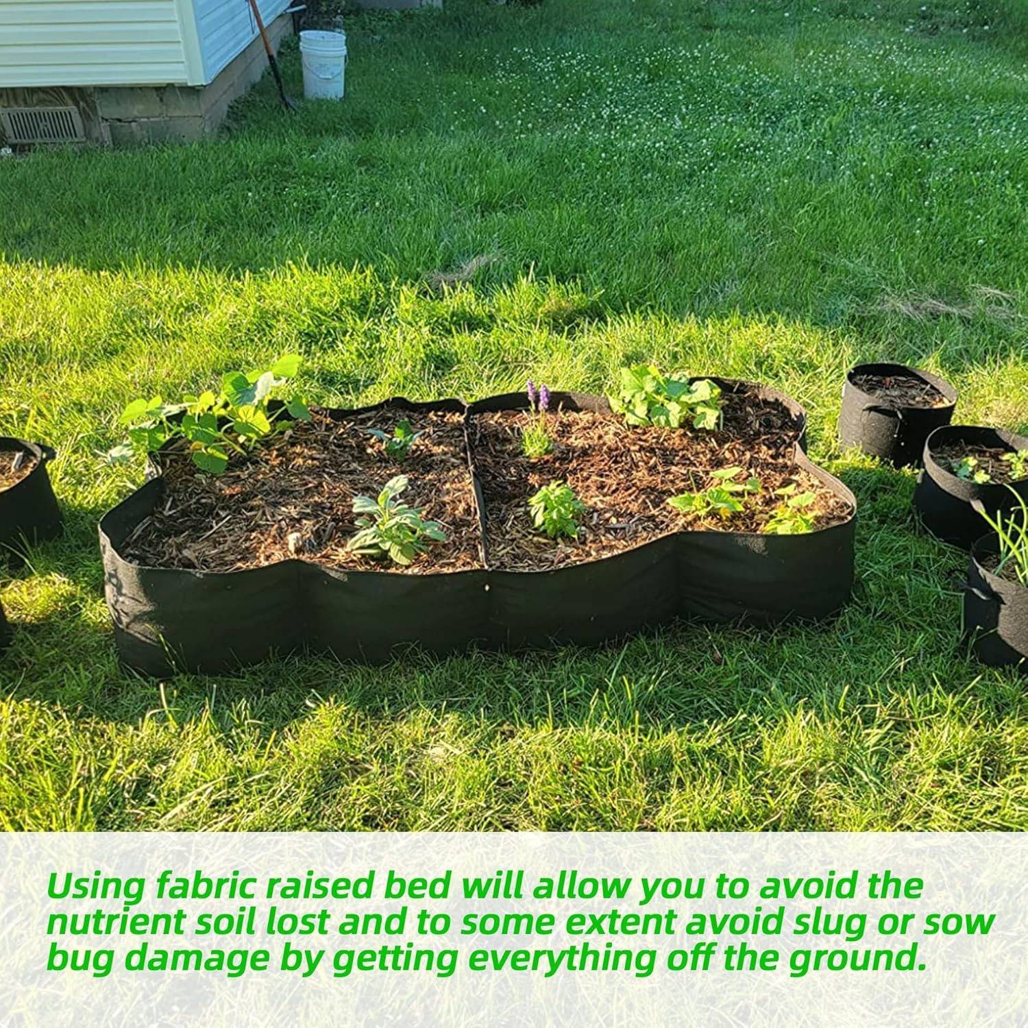 Fabric Raised Garden Bed, 2Pac - Grow Bags review and price