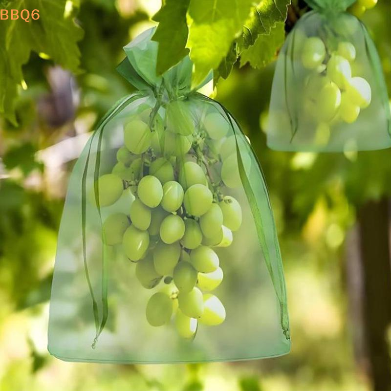 *20/50Pcs Reusable Fruit  Proo - Grow Bags review and price