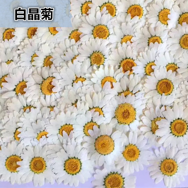 100Pcs Natural White Crystal C - Gardening Tools Diy review and price