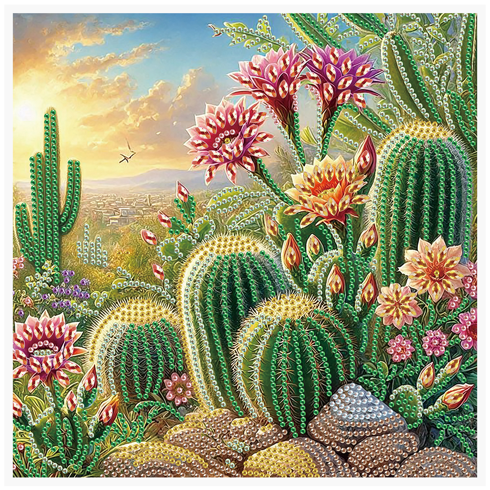 5D DIY Diamond Painting Flower - Gardening Tools Diy review and price