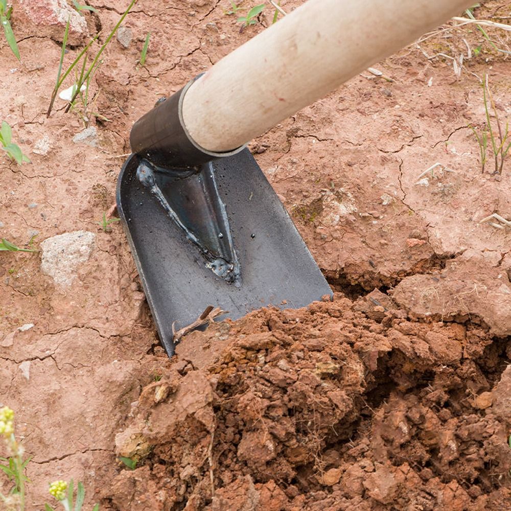 Agricultural Tools Manganese S - Gardening Tools Hoe review and price