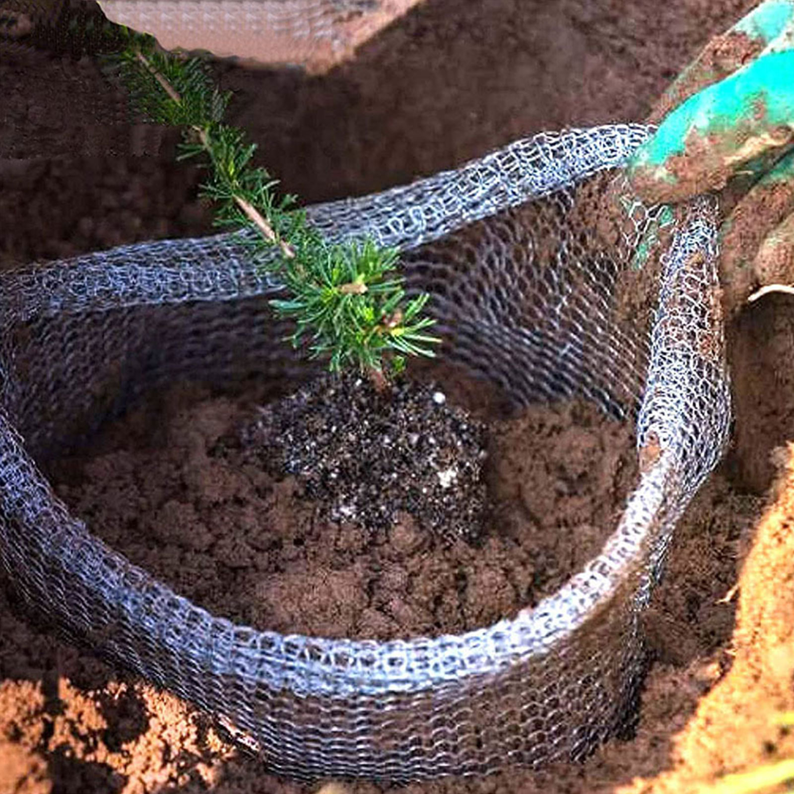 Plant Root Guard Baskets Garde - Grow Bags review and price