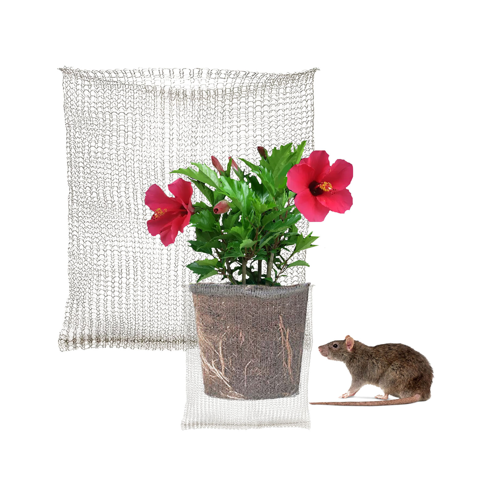 Plant Root Guard Baskets Garde - Grow Bags review and price