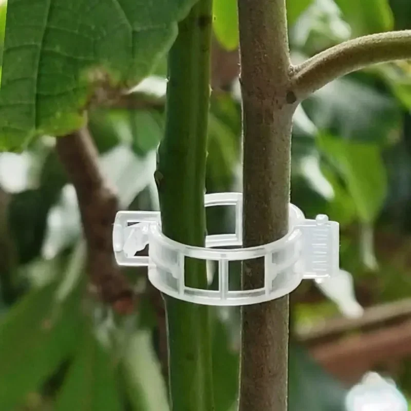 500/50PCS Plant Support Clips  - Gardening Tools Hoe review and price
