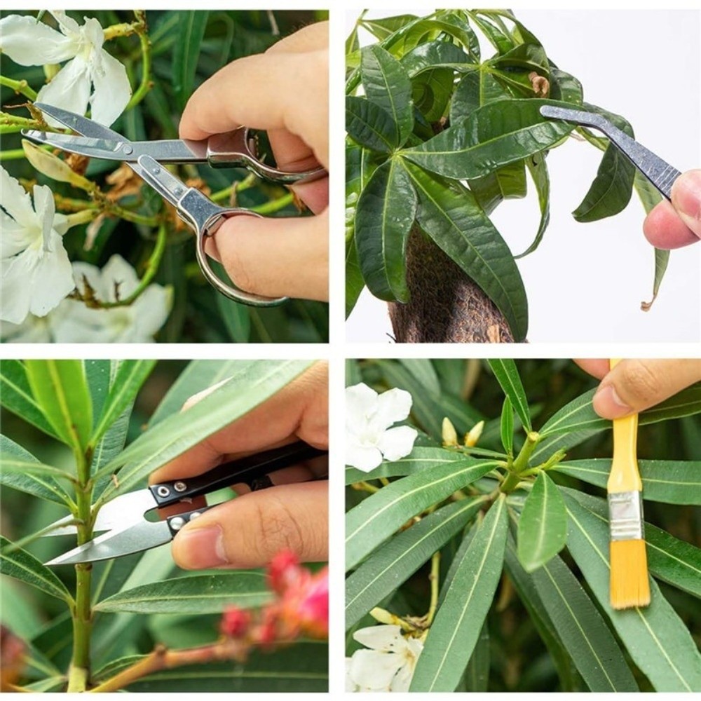 Multi-functional Mini Garden P - Spade Digging Fork review and price