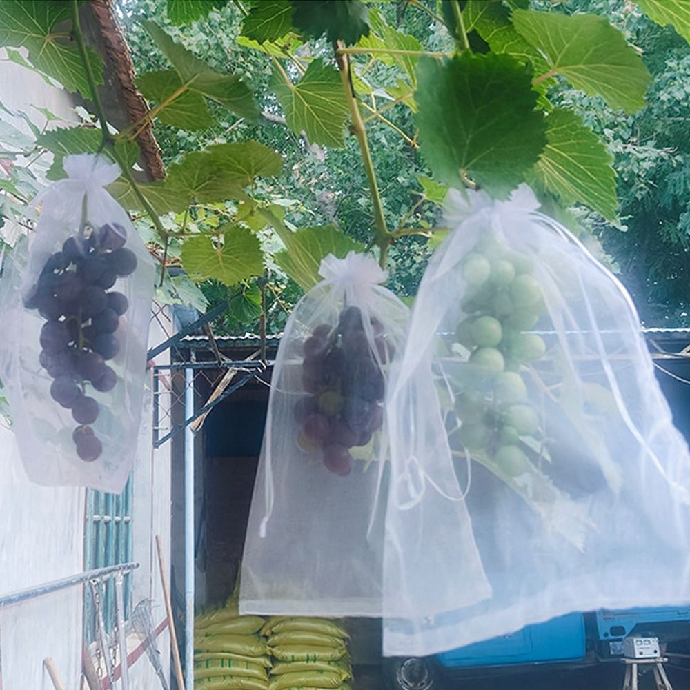 100pcs Mesh Grapes Fruit Grow  - Grow Bags review and price