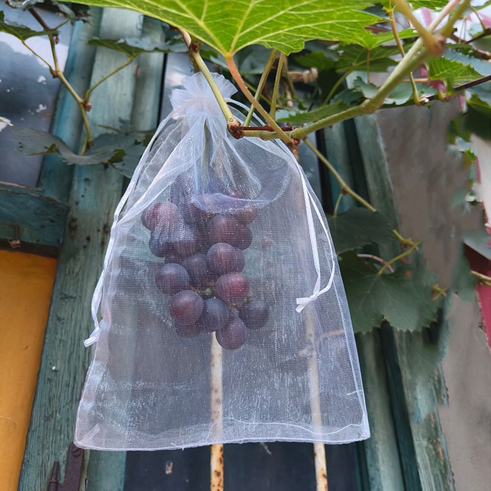 100pcs Mesh Grapes Fruit Grow  - Grow Bags review and price