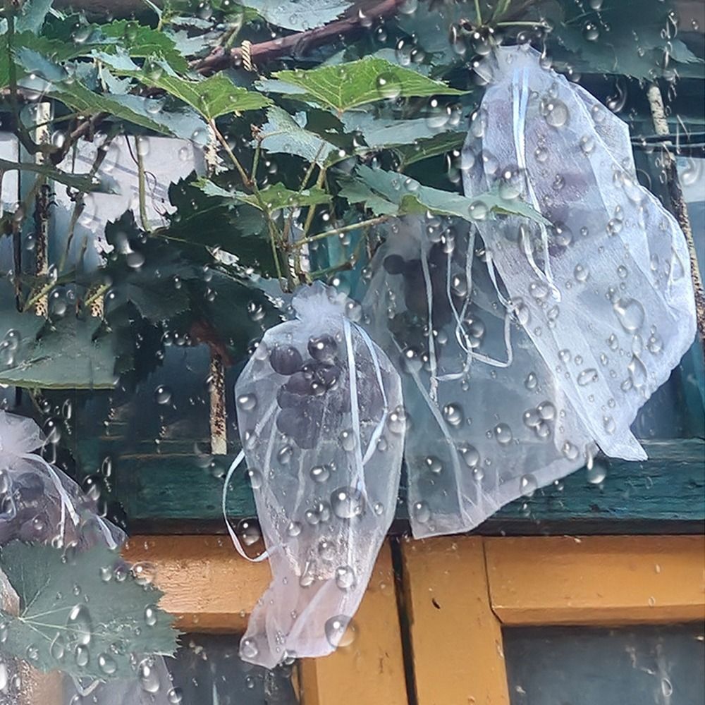 100pcs Mesh Grapes Fruit Grow  - Grow Bags review and price