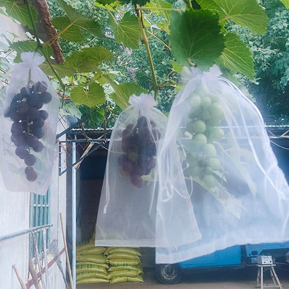 100pcs Mesh Grapes Fruit Grow  - Grow Bags review and price