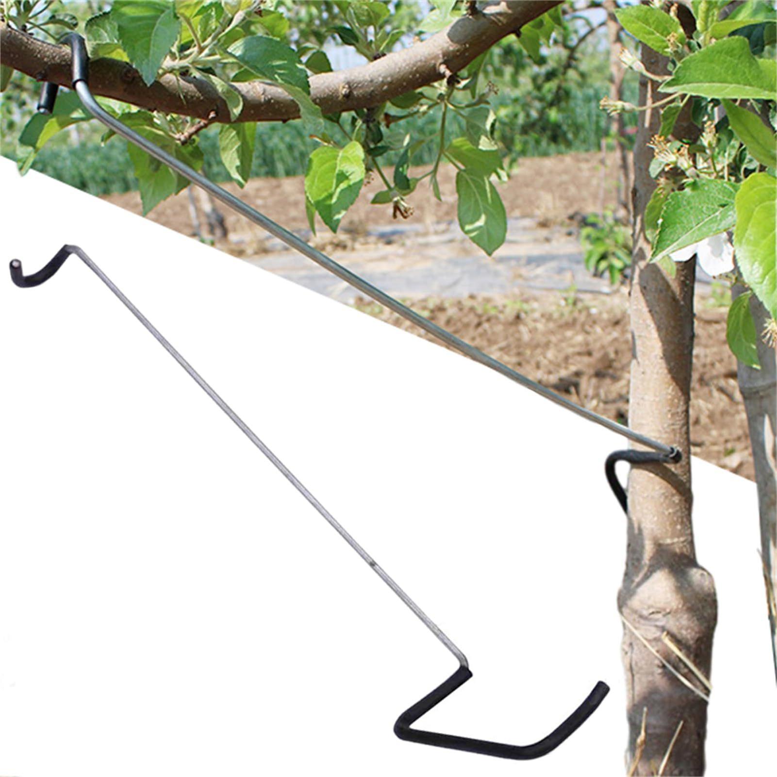 Fruit Tree Branch Spreader 10P - Gardening Tools Gifts review and price