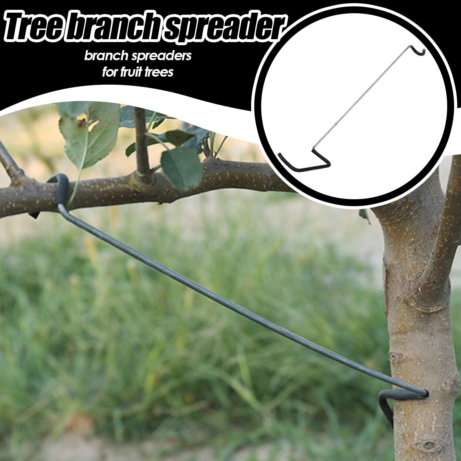 Fruit Tree Branch Spreader 10P - Gardening Tools Gifts review and price