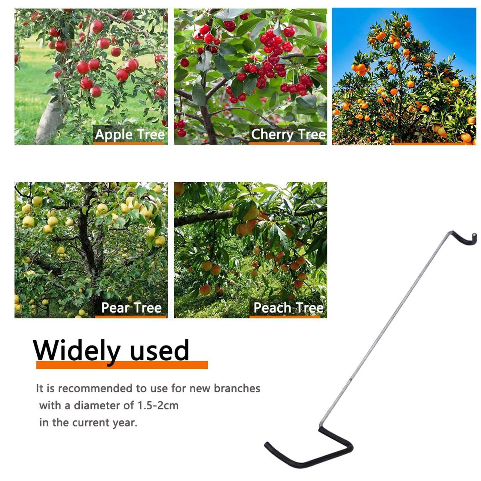 Fruit Tree Branch Spreader 10P - Gardening Tools Gifts review and price