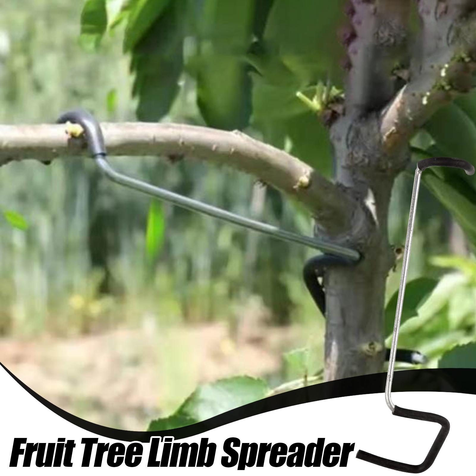 Fruit Tree Branch Spreader 10P - Gardening Tools Gifts review and price