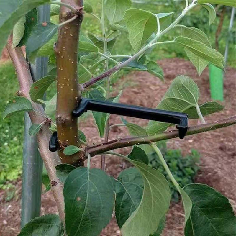 10-30Pcs Fruit Tree Clips Plan - Gardening Tools Gifts review and price